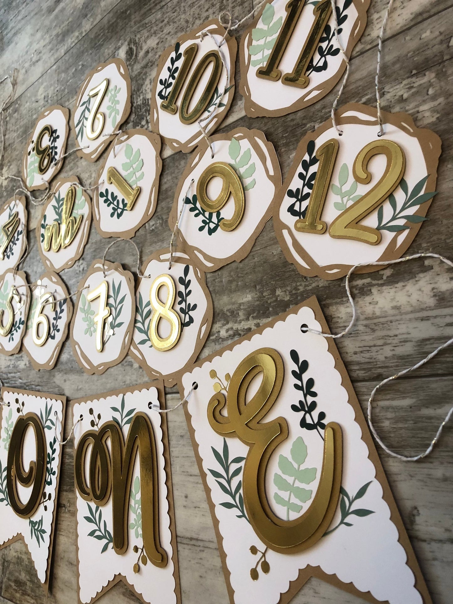 First Birthday Greenery Decoration Bundle, Boho Rustic Party Decoration, Woodland Greenery Theme Party Banners and Monthly Birthday Banner